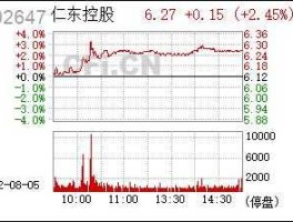 002647股票，仁东控股是干什么的？