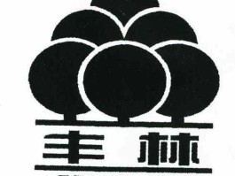 601996丰林集团（丰林集团有多少林业资源？）