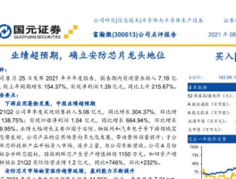 富瀚微，富瀚微是细分行业龙头吗？