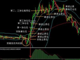 股市动量投资（动量投资法则）