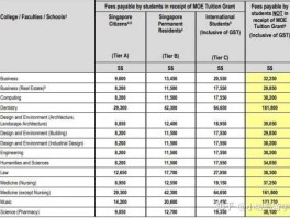 新加坡本科一年留学费用（新加坡读本科一年费用）