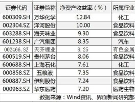 股市里净资（股市净资产收益率排名）