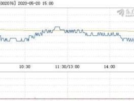 股票002076 st雪莱是干什么的？