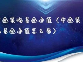 中金策略基金（中金策略基金最新）