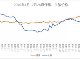 今日仔猪价格？今日头条网上的报的猪价连续下降，基层毛猪价格稳定，怎么回事？