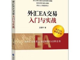 外汇教学经典视频教程（外汇教学指南 入门）