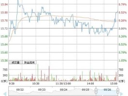 齐翔腾达股票？齐翔腾达深度解析？