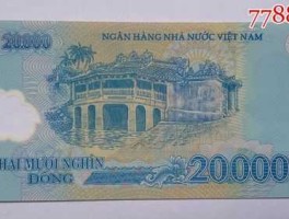 20000越南盾(20000越南盾图片)