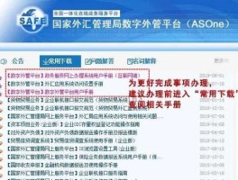 国家外汇局应用服务平台（国家外汇局网上服务平台官网）