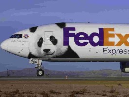 fedex中国中文官网查询(快递及托运服务 fedex 中国)