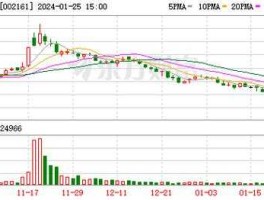 002161股票（远望谷有没有核心技术？）