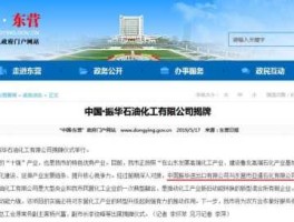 亚通？东营亚通石化与东营华联石化哪个好？