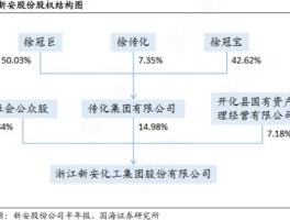 新安股份（新安股份主要生产什么？）