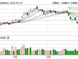 鹏博士股票2021年会不会涨（鹏博士股票可以涨到多少）