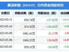 嘉泽新能？601619嘉泽新能公司概况？