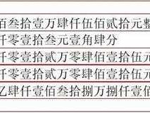 数字转大写金额转换器，869元大写怎么写？