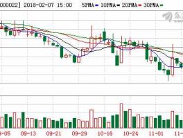 深赤湾？000022深赤湾是什么性质股？