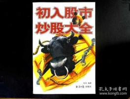 初入股市炒股大全pdf（初入股市炒股大全免费下载）