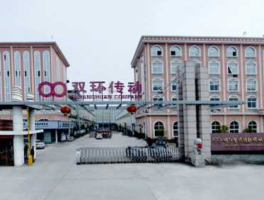 双环科技，双环科技的现状？