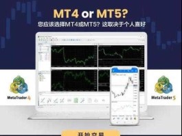 mt5外汇平台骗局(mt5外汇平台合法吗)