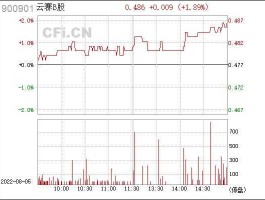 云赛b股（云赛B股是什么的）