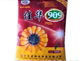 佳华（佳华909玉米品种怎么样？）