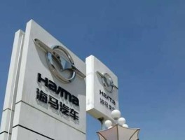 海马汽车集团股份有限公司 海马集团是做什么的？