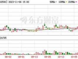 002592股票（st八菱是什么公司？）