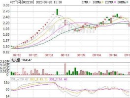 002210（st飞马是做什么的？）