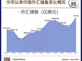 中国的外汇储备存在哪里（外汇储备去了哪里？）