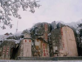 旅游股（泰山旅游上市了吗？）