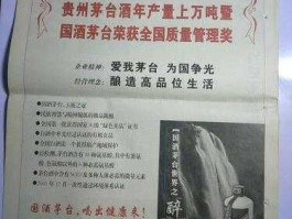 人民日报 茅台（中国世界500强企业？）