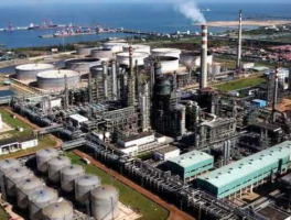 舟山概念股（浙石化怎么样？）