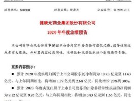 600380股票，健康元高瓴资本定增成功了吗？