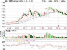 002314雅致股份？雅致实业集团靠谱吗？