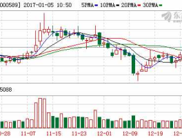 000589股票（轮胎股票有哪些？）