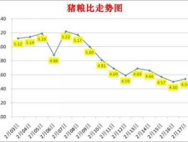 2022年下半年猪价行情(2022年下半年猪价行情走势图)