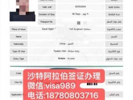 沙特增值税上调？沙特签证网上申请？