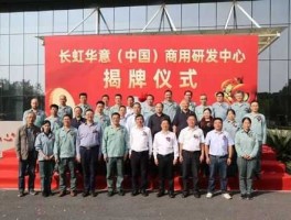 华意压缩股吧？长虹旗下是不是有好几家上市公司？具体哪些？