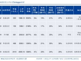 002583股票（信息股有哪些？）