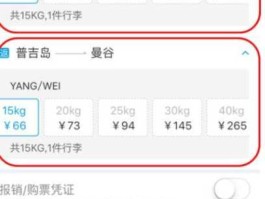 海航网，网上买托运行李怎么买？