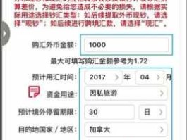 中国工商外汇查询(中国工商外汇查询官网)