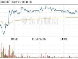 股票300180 华峰超纤公司怎么样？