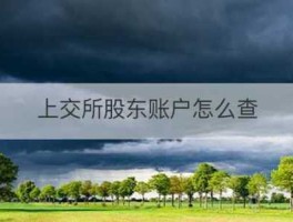 上交所网站？上交所股东账户怎么查？