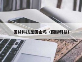 国脉科技，国脉科技是一个职业培训学校吗？