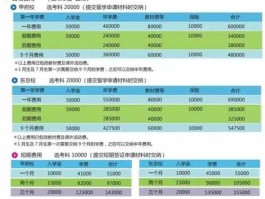 留学机构收费标准（留学机构一年能挣多少钱）