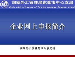 外汇管理局申报流程（外汇管理局申报信息录入）