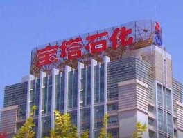 宝塔石化集团，宝塔石化有几个厂？