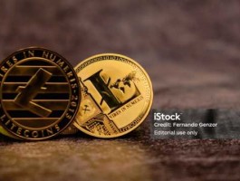 ‌SNKCOIN币是什么？‌SNKCOIN币如何购买