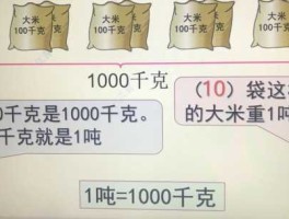 一吨等于多少kg(一吨等于多少kg等于多少克)